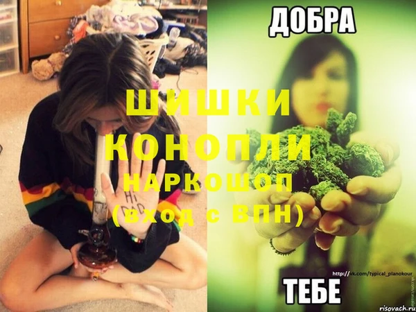 хмурый Кодинск