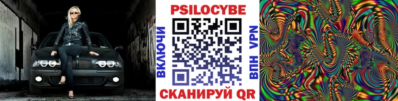 где купить наркоту  Чишмы  Галлюциногенные грибы Psilocybe 